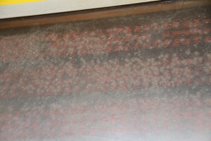 雙林城隍廟 石碑 02 原寫爲1803年 後改正爲1903年 癸卯年 城隍廟建設於光緒廿九年 1975年重建 131